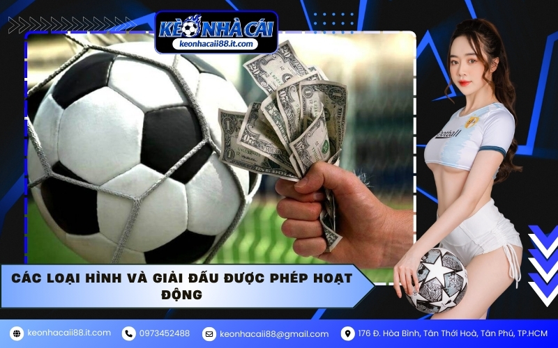 Các loại hình và giải đấu được phép hoạt động