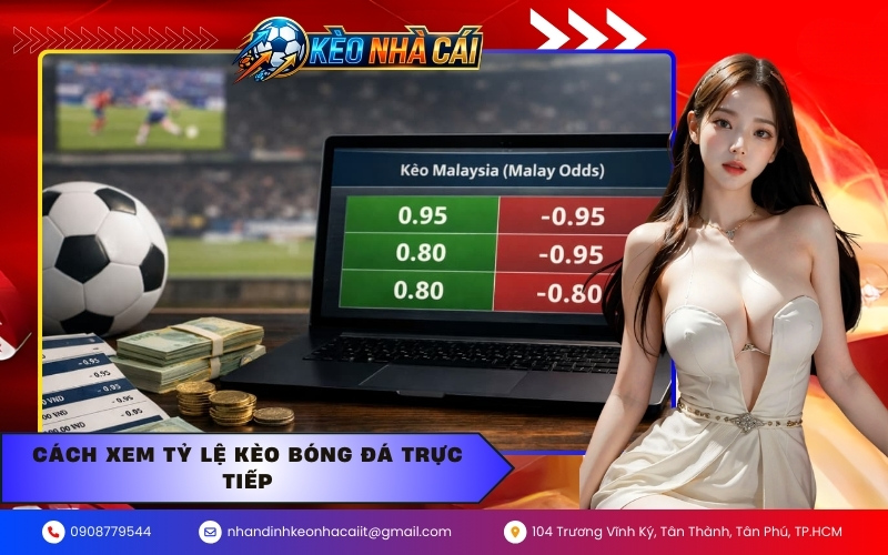 Cách xem tỷ lệ kèo bóng đá trực tiếp