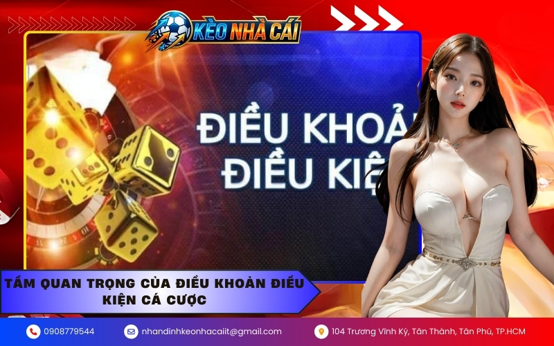 Tầm quan trọng của điều khoản điều kiện cá cược